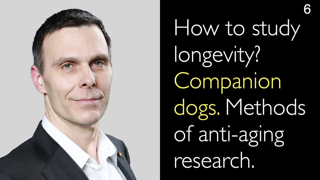 Comment étudier la longévité ? Les chiens de compagnie comme modèle de recherche sur le vieillissement. Méthodologies d'étude. 6