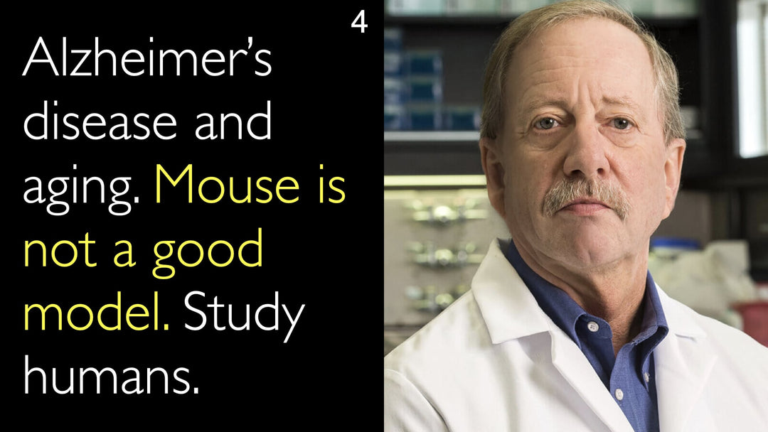 Maladie d’Alzheimer et vieillissement. La souris n’est pas un modèle adapté. Il faut étudier les humains. 4