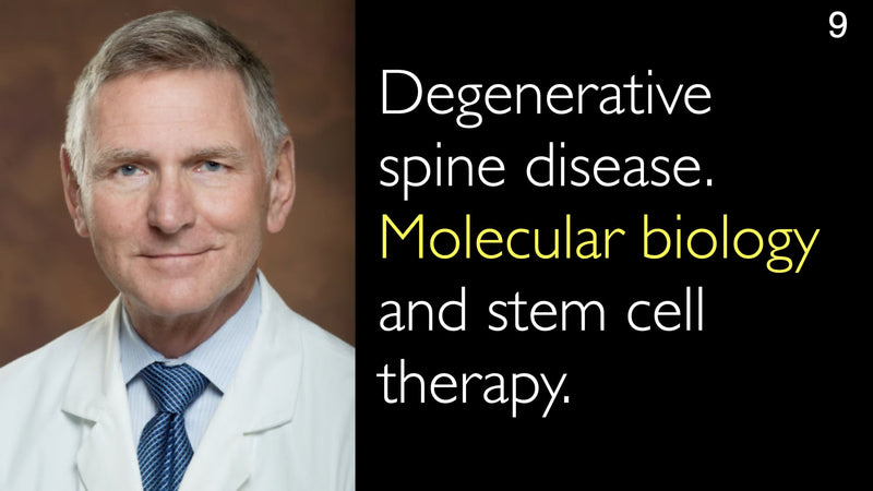 Brain and Spine